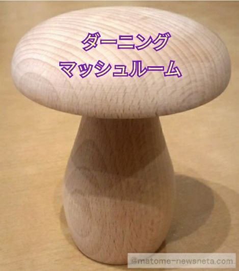 the darning mushroom